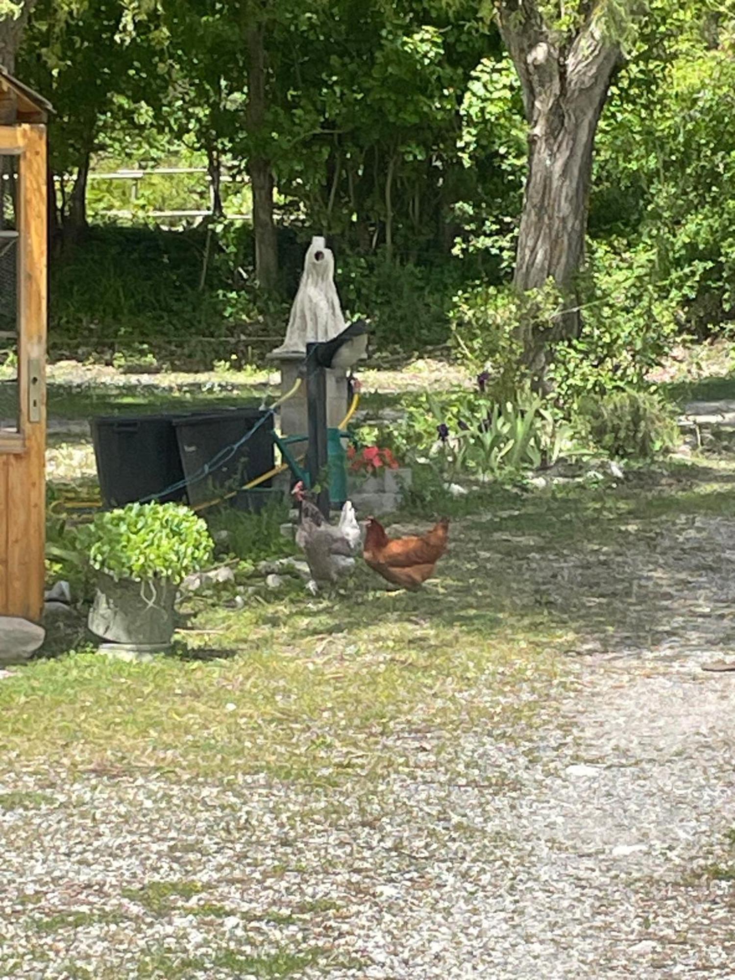 Campsite Le Bivouac-tente Chez Camille *